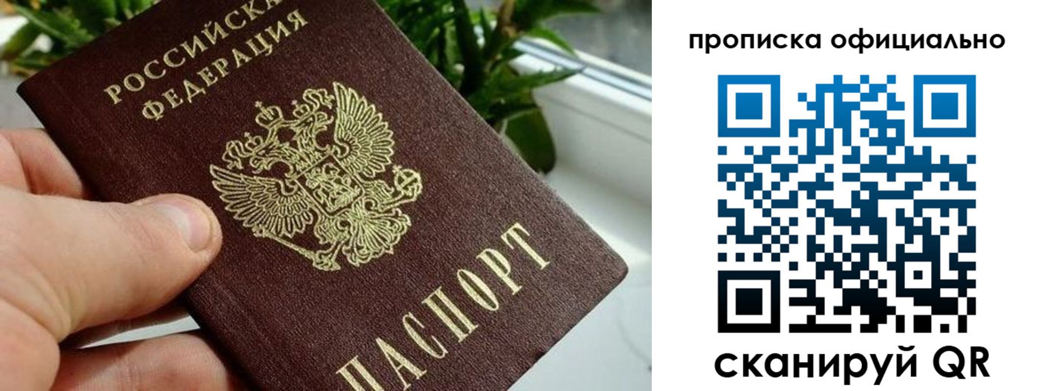 прописка поиск в Среднеуральске